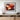 Radiant Petals Symphony Fine Art Print / 30 x 20