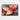 Radiant Petals Symphony Framed Canvas (Black) / 30 x 20