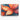 Radiant Petals Symphony Canvas Wrap / 30 x 20