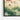 Lotus Serenity Canvas Framed Canvas (Black) / 30 x 20