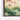 Lotus Serenity Canvas Framed Canvas (Walnut) / 14 x 11
