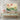 Lotus Serenity Canvas Canvas Wrap / 48 x 32