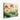 Lotus Serenity Canvas Canvas Wrap / 10 x 8