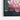 Radiant Lotus Bloom Framed Canvas (Black) / 48 x 32