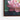 Radiant Lotus Bloom Framed Canvas (Walnut) / 48 x 32