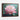 Radiant Lotus Bloom Framed Canvas (Walnut) / 32 x 24