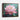 Radiant Lotus Bloom Framed Canvas (Walnut) / 14 x 11