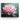 Radiant Lotus Bloom Canvas Wrap / 10 x 8