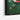 Vibrant Poppy Garden Framed Canvas (Black) / 48 x 32