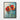 Bold Floral Harmony Framed Canvas (Black) / 24 x 32