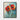 Bold Floral Harmony Framed Canvas (Black) / 16 x 20