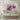 Ethereal Blossom Dreams Canvas Wrap / 30 x 20