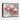Petal Whispers Framed Canvas (Black) / 10 x 8