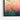 Radiant Flowers Framed Canvas (Black) / 48 x 32