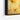 Golden Poppy Blooms Framed Canvas (Black) / 48 x 32