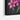 Vibrant Lilies Ensemble Framed Canvas (Black) / 30 x 20
