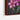 Vibrant Lilies Ensemble Framed Canvas (Walnut) / 30 x 20