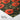 Crimson Poppy Fields Fine Art Print / 20 x 30