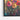 Blooming Harmony Framed Canvas (Black) / 48 x 32