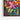 Blooming Spectrum Framed Canvas (Walnut) / 48 x 32