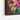 Blooming Spectrum Framed Canvas (Walnut) / 32 x 24