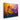 Radiant Color Blooms Canvas Wrap / 14 x 11