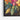 Vibrant Floral Fusion Framed Canvas (Black) / 30 x 20
