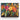 Vibrant Floral Fusion Canvas Wrap / 10 x 8