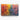 Vibrant Petal Symphony Canvas Wrap / 30 x 20