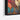 Colorful Foliage Fusion Framed Canvas (Black) / 48 x 32