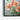 Coral Poppy Dreamscape Framed Canvas (Black) / 48 x 32