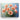 Coral Poppy Dreamscape Canvas Wrap / 14 x 11