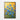 Golden Iris Bloom Framed Canvas (Black) / 32 x 48
