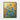 Golden Iris Bloom Framed Canvas (Black) / 16 x 20