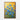 Golden Iris Bloom Framed Canvas (Walnut) / 32 x 48