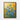 Golden Iris Bloom Framed Canvas (Walnut) / 24 x 32