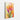 Tropical Vibrance Canvas Wrap / 32 x 48