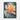 Tropic Bloom Framed Canvas (Black) / 18 x 24