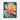 Tropic Bloom Framed Canvas (Black) / 8 x 10