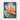 Tropic Bloom Framed Canvas (Walnut) / 24 x 32