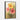 Vibrant Floral Expressions Framed Canvas (Black) / 32 x 48