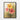 Vibrant Floral Expressions Framed Canvas (Black) / 24 x 32
