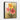 Vibrant Floral Expressions Framed Canvas (Black) / 11 x 14