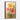 Vibrant Floral Expressions Framed Canvas (Walnut) / 20 x 30