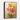 Vibrant Floral Expressions Framed Canvas (Walnut) / 8 x 10