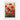 Scarlet Bloom Symphony Fine Art Print / 32 x 48
