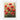 Scarlet Bloom Symphony Fine Art Print / 24 x 32