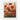 Scarlet Bloom Symphony Fine Art Print / 11 x 14