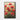 Scarlet Bloom Symphony Framed Canvas (Black) / 20 x 30