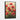 Scarlet Bloom Symphony Framed Canvas (Black) / 32 x 48